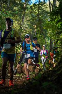 BIB: 292, 
                            <button type="button" onclick="openModal(19232709)" class="btn btn-primary btn-sm float-right btn-popup" data-toggle="modal" data-target=".modal-high-quality">
                        <i class="fas fa-shopping-cart"></i> Add to Cart
                    </button>
                                            <button type="button" onclick="isThisMe(19232709, true)" class="btn btn-success btn-sm float-right btn-popup btn-isme hidden" data-toggle="tooltip" data-placement="bottom" title="นี่คือรูปของคุณใช่ไหม คลิกที่นี่เพื่อเอาเข้าอัลบั้ม">
                        <i class="fas fa-plus"></i> Add to album
                    </button>
                    <button type="button" onclick="isThisMe(19232709, false)" class="btn btn-warning btn-sm float-right btn-popup btn-isnotme hidden">
                        <i class="fas fa-ban"></i> Remove from album
                    </button>